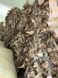 DRIED BAY LEAVES