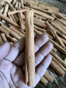 DRIED ROLLED CINNAMON