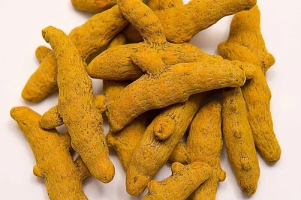 lakadong-turmeric-500×500 lakadong-turmeric-500x500